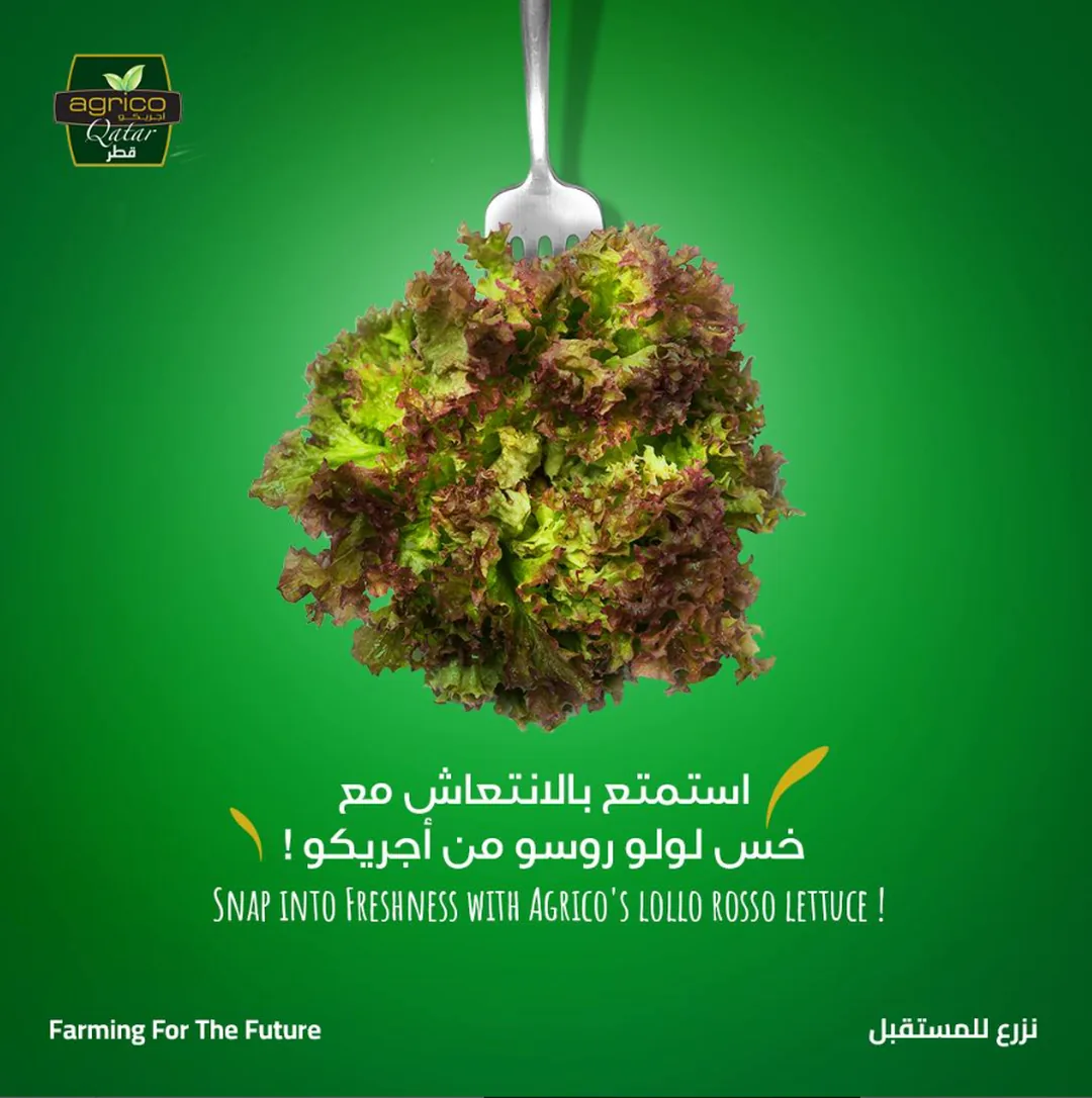 Agrico herbs post