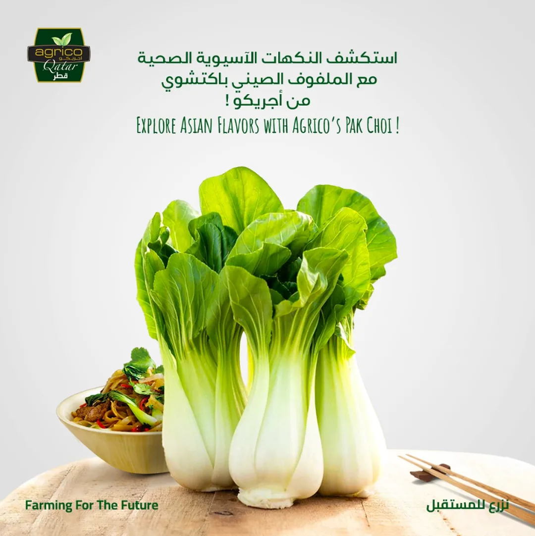 Agrico retail offer post