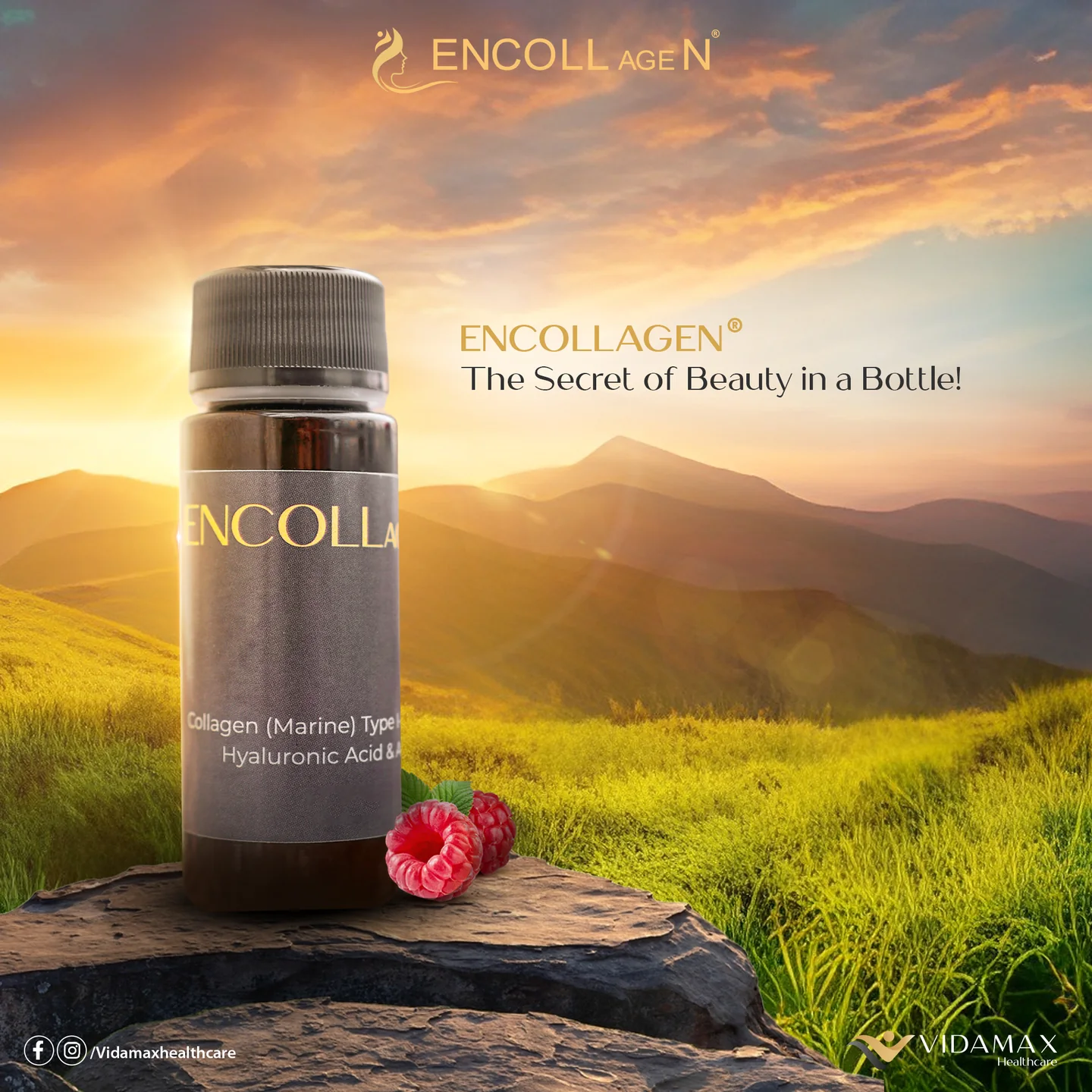 Encollagen the secret of beauty